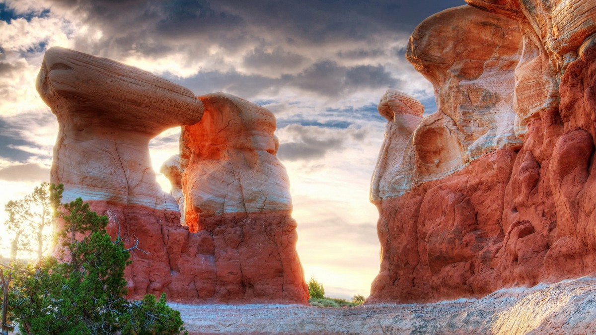 The Valley of Wonders: A Journey Beyond the Ordinary